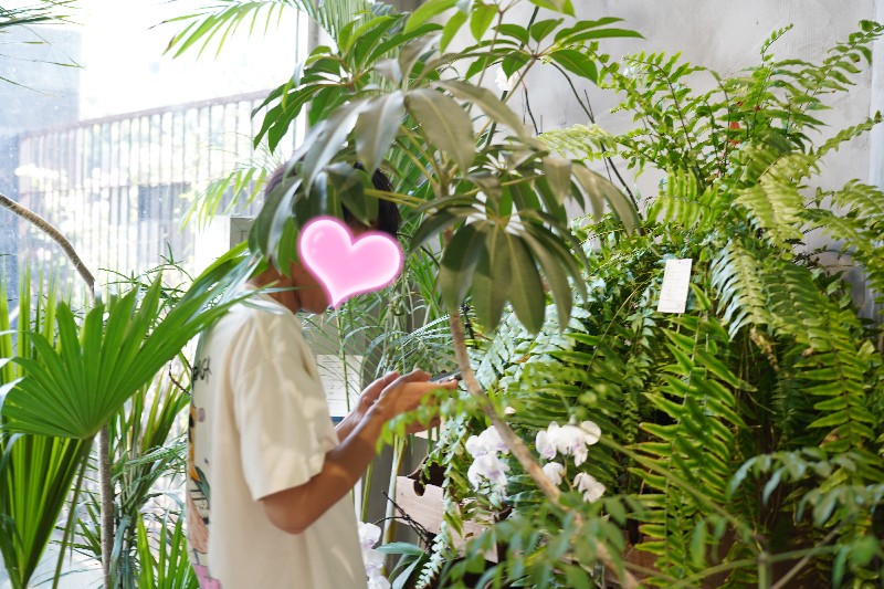 3寻宝1.jpg